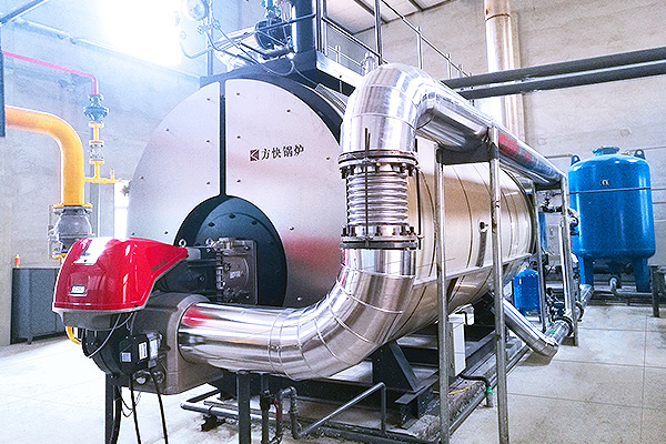 北京雙鷺藥業股份有限公司1噸冷凝蒸汽鍋爐案例