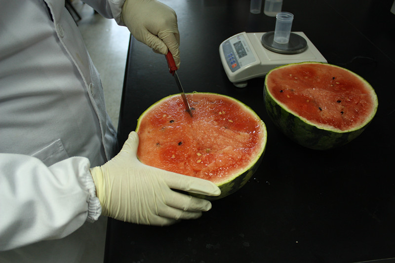西瓜農藥殘留檢測 西瓜農藥殘留檢測